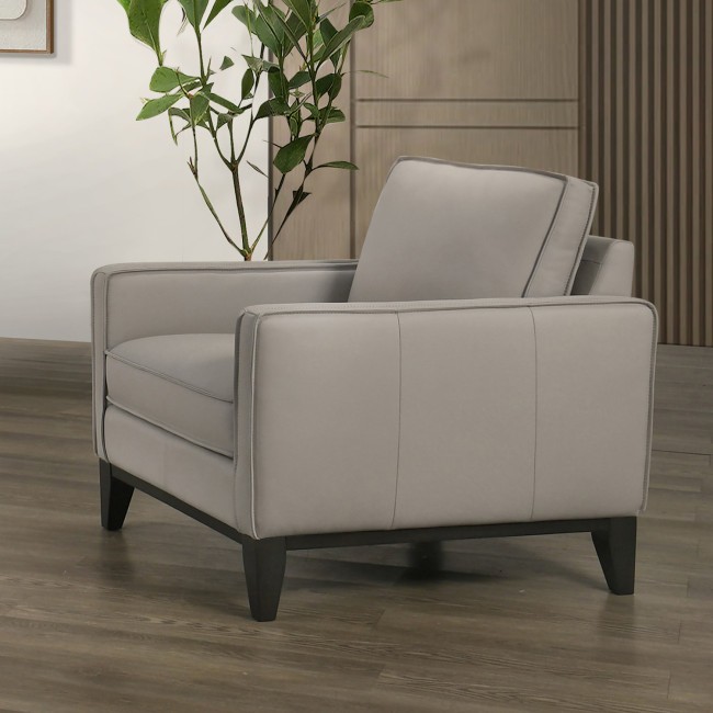 Aaron Mist Gray Leather Chair