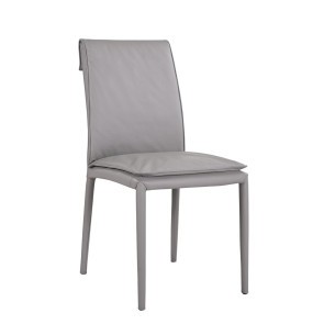 Togo Side Chair in Grey (Set of 2)