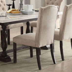 Gerardo Side Chair (Set of 2)