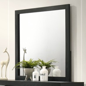 Asher Mirror