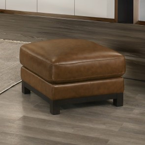Sayer Brown Leather Ottoman