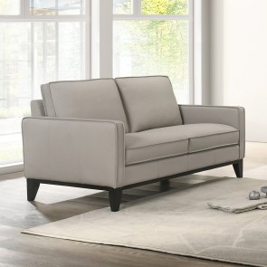 Aaron Mist Gray Leather Loveseat