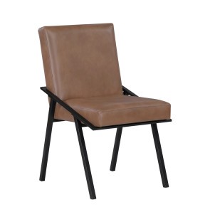 Tucson Side Chair (Set of 2)