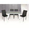 B24 Dining Room Set w/ Black Chairs