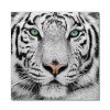 Wall Art Black and White Tiger