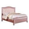 Ariston Youth Panel Bed (Rose Gold)