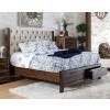 Hutchinson Upholstered Storage Bed
